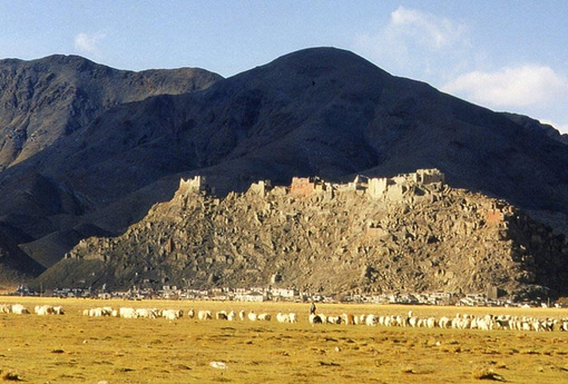 Tibet Ruthok Emchi
